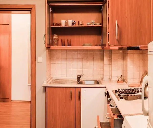 The Heart Of The 公寓